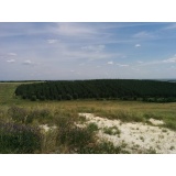 Природа - 05.jpg Природа - 05.jpg